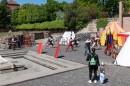 nema_dsc_0855.jpg