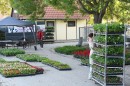 viragok kiosztasa 2026  14.jpg