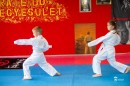 Halmai_Roland_fudokan_karate-0102.JPG