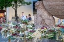 Punkosdi_viragalom-0060.JPG