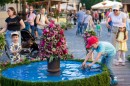 Punkosdi_viragalom-0088.JPG