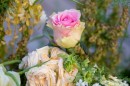 Punkosdi_viragalom-0092.JPG