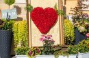 Punkosdi_viragalom-0098.JPG