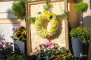 Punkosdi_viragalom-0101.JPG