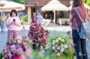 Punkosdi_viragalom-0115.JPG