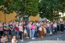 Punkosdi_viragalom-0162.JPG
