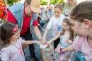 Punkosdi_viragalom-0220.JPG