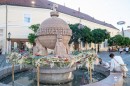 Punkosdi_viragalom-0275.JPG