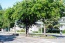  Rakoczi_utca savelvalaszto-0028.JPG