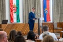 Palos_Telepulesek_XIV_Talalkozoja-0034.JPG