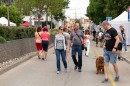 jovo_meno_dsc_4446.jpg