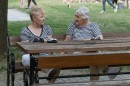 tovarosi_piknik_dsc_4607.jpg