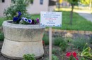 Felhivas_kozossegi_ontozesre-0091.JPG