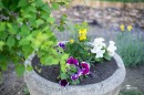 Felhivas_kozossegi_ontozesre-0097.JPG