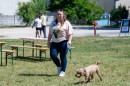 Tacsi_tali-0052.JPG