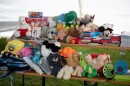 DSC_1510.jpg