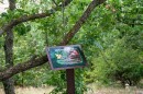 KEMPP_tanosveny_atadas-0085.JPG
