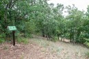 KEMPP_tanosveny_atadas-0093.JPG