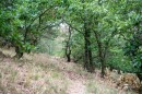 KEMPP_tanosveny_atadas-0183.JPG