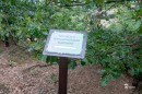 KEMPP_tanosveny_atadas-0185.JPG