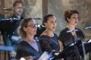 Harmonia_Albensis-0086.jpg
