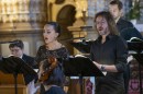 Harmonia_Albensis-0129.jpg