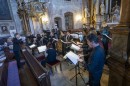 Harmonia_Albensis-0165.jpg