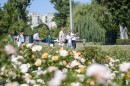 Viragos_Magyarorszag_zsuri-0073.jpg