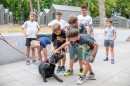 Velencei_tabor-0100.JPG