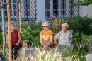 Belvarosi_Fieszta_Kiralyokkal-0172.JPG
