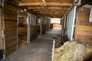 lovarda-27.jpg