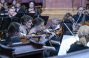 Harmonia_Albensis-0022.jpg
