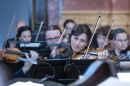 Harmonia_Albensis-0104.jpg