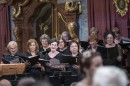 Harmonia_Albensis-0192.jpg