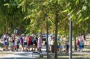vakvizi_dsc_0750.jpg