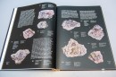 Solium_Regni_kotetbemutato-0100.JPG