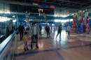 kozkoridsc_1388.jpg
