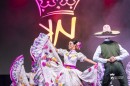 Nemzetkozi_Neptancfesztival-0233.jpg