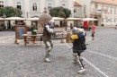 lovagok_dsc_2004.jpg