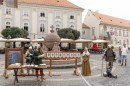 lovagok_dsc_2024.jpg