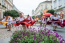 Neptancfesztival_zaro-0214.JPG