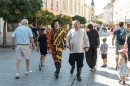 kuj_26_dsc_2380.jpg