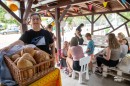 Borgondi_falunap-0456.JPG