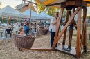 kisfaludi_piknik_20260905_185249.jpg