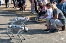repulonap_asc_4323.jpg