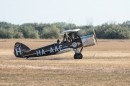 repulonap_asc_4345.jpg