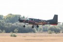 repulonap_asc_4357.jpg