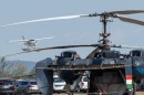 repulonap_asc_4543.jpg