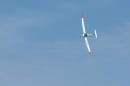 repulonap_asc_4656.jpg
