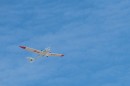 repulonap_asc_4687.jpg